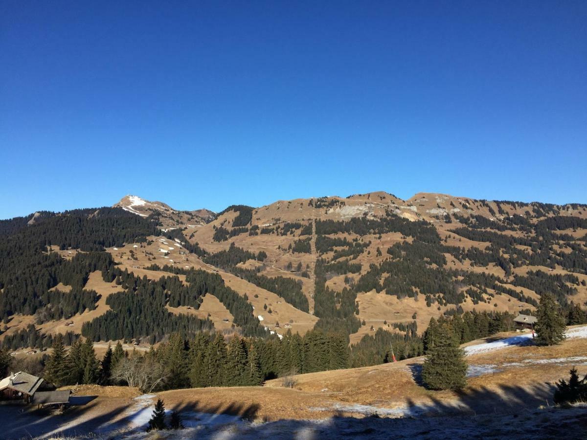 Chalet Rouge Coeur Bex Zewnętrze zdjęcie