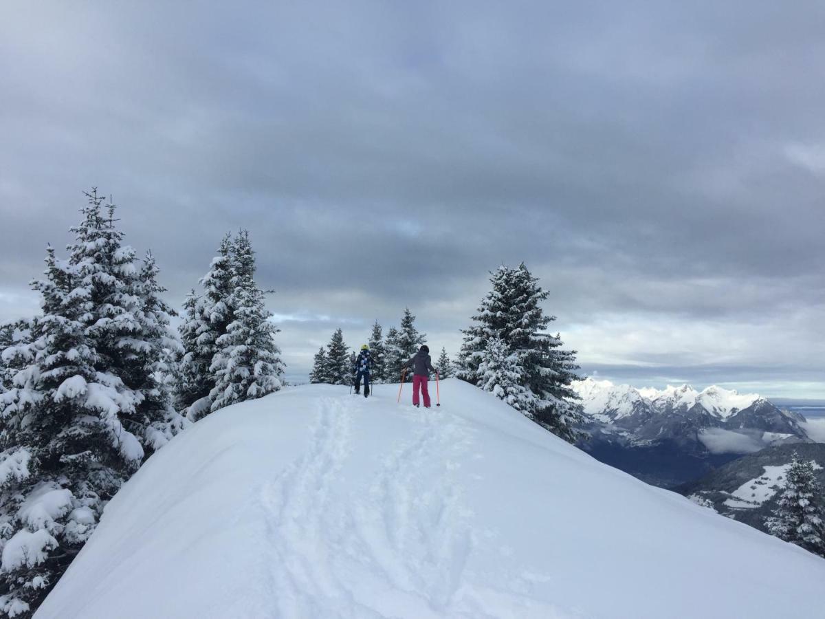 Chalet Rouge Coeur Bex Zewnętrze zdjęcie