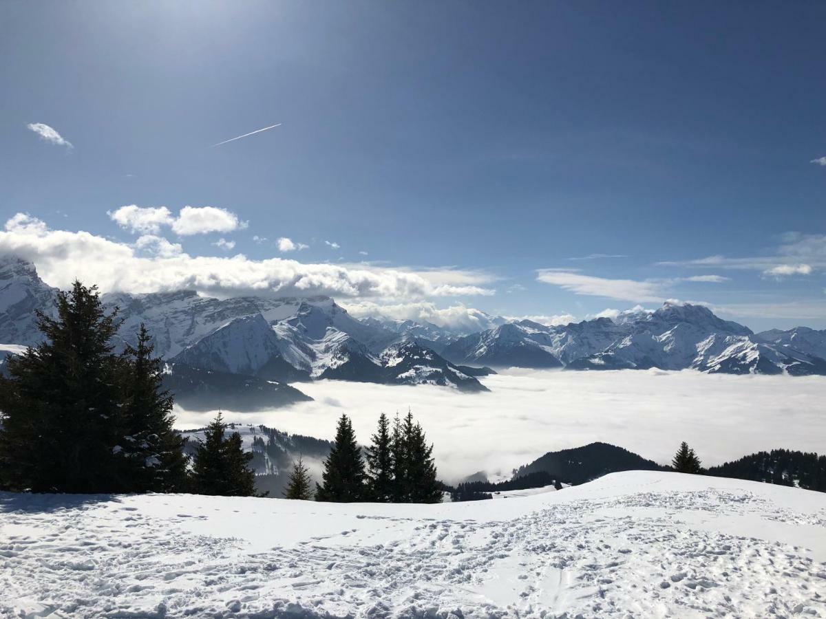 Chalet Rouge Coeur Bex Zewnętrze zdjęcie