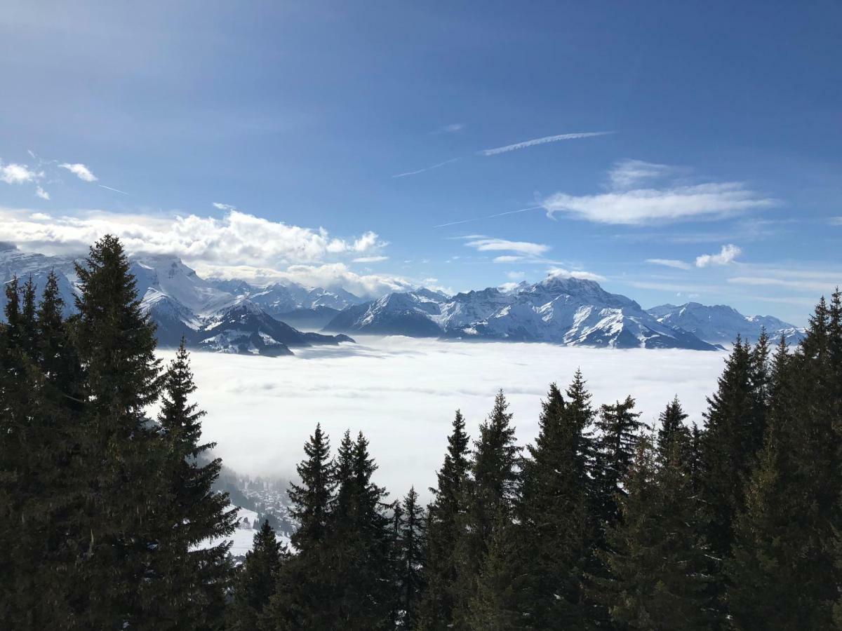 Chalet Rouge Coeur Bex Zewnętrze zdjęcie
