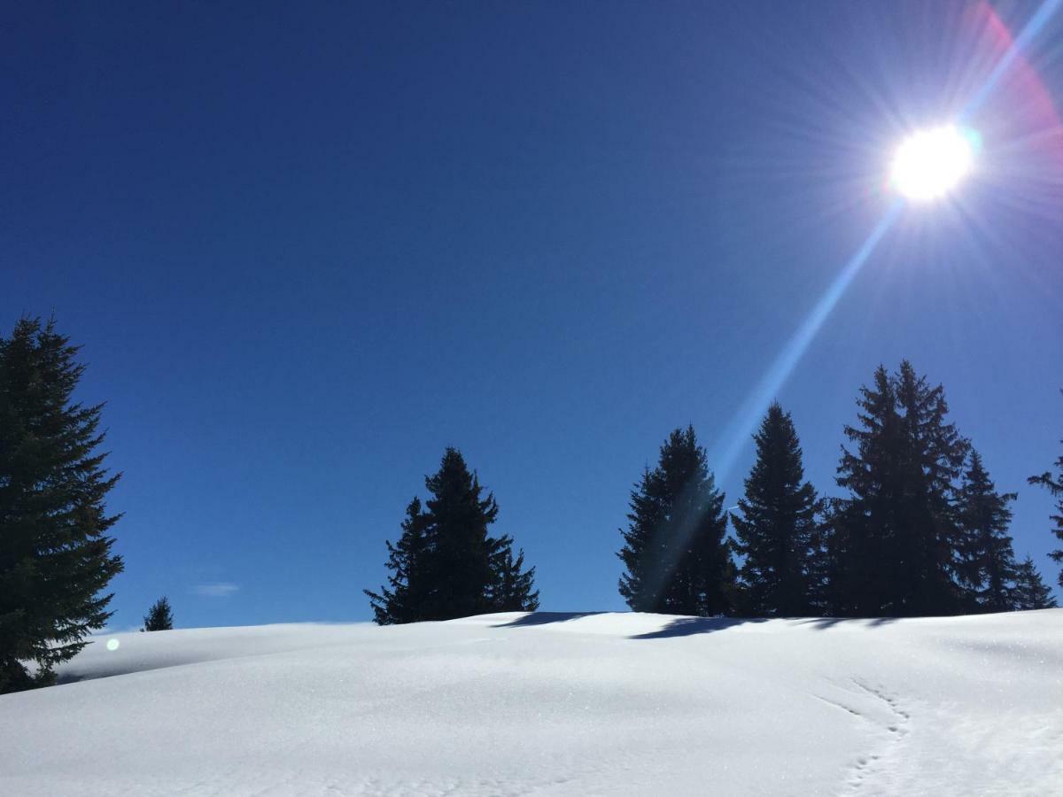 Chalet Rouge Coeur Bex Zewnętrze zdjęcie